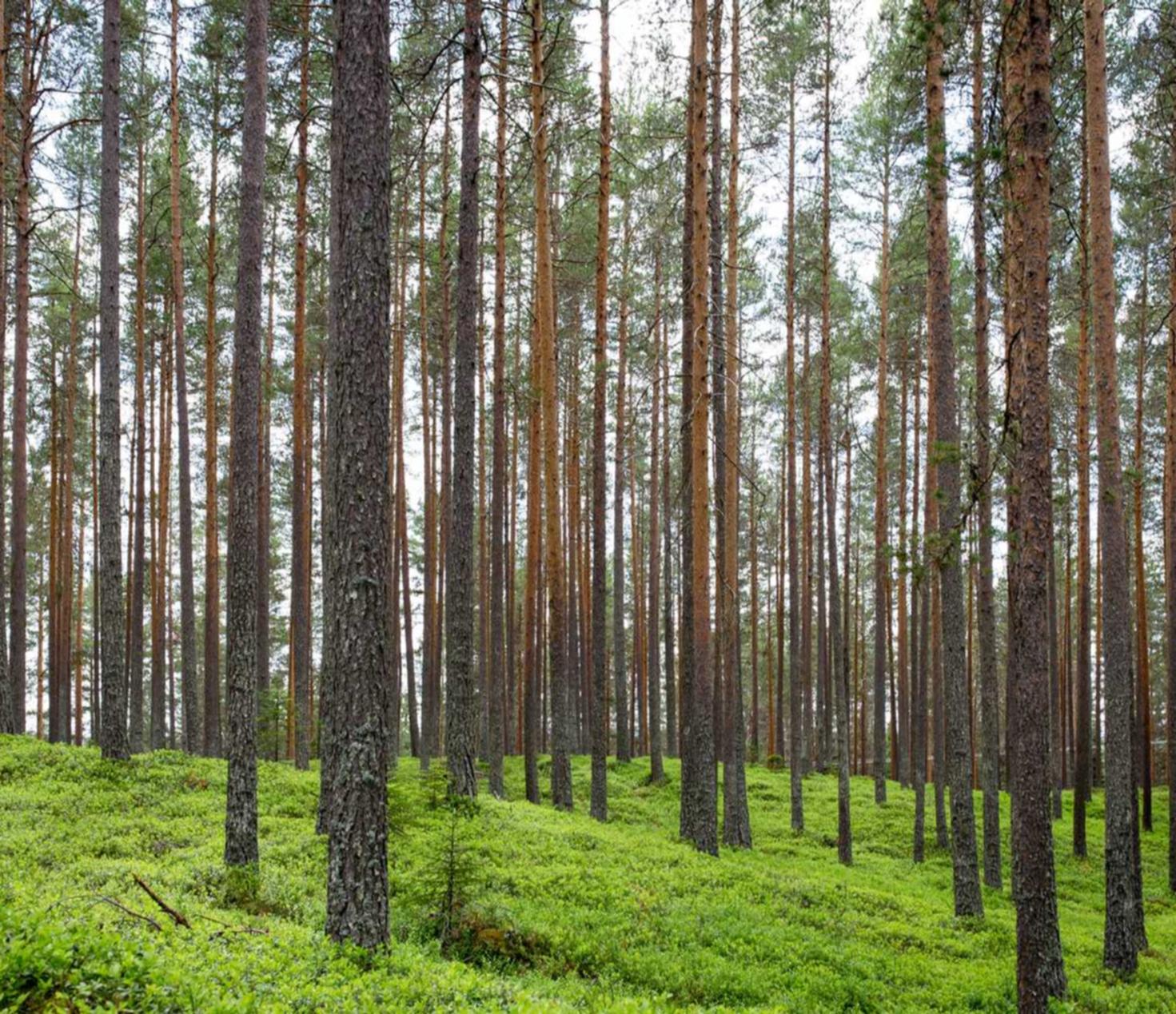 全新GPU版本TRX波场靓号地址生成器-程序 星链剧场