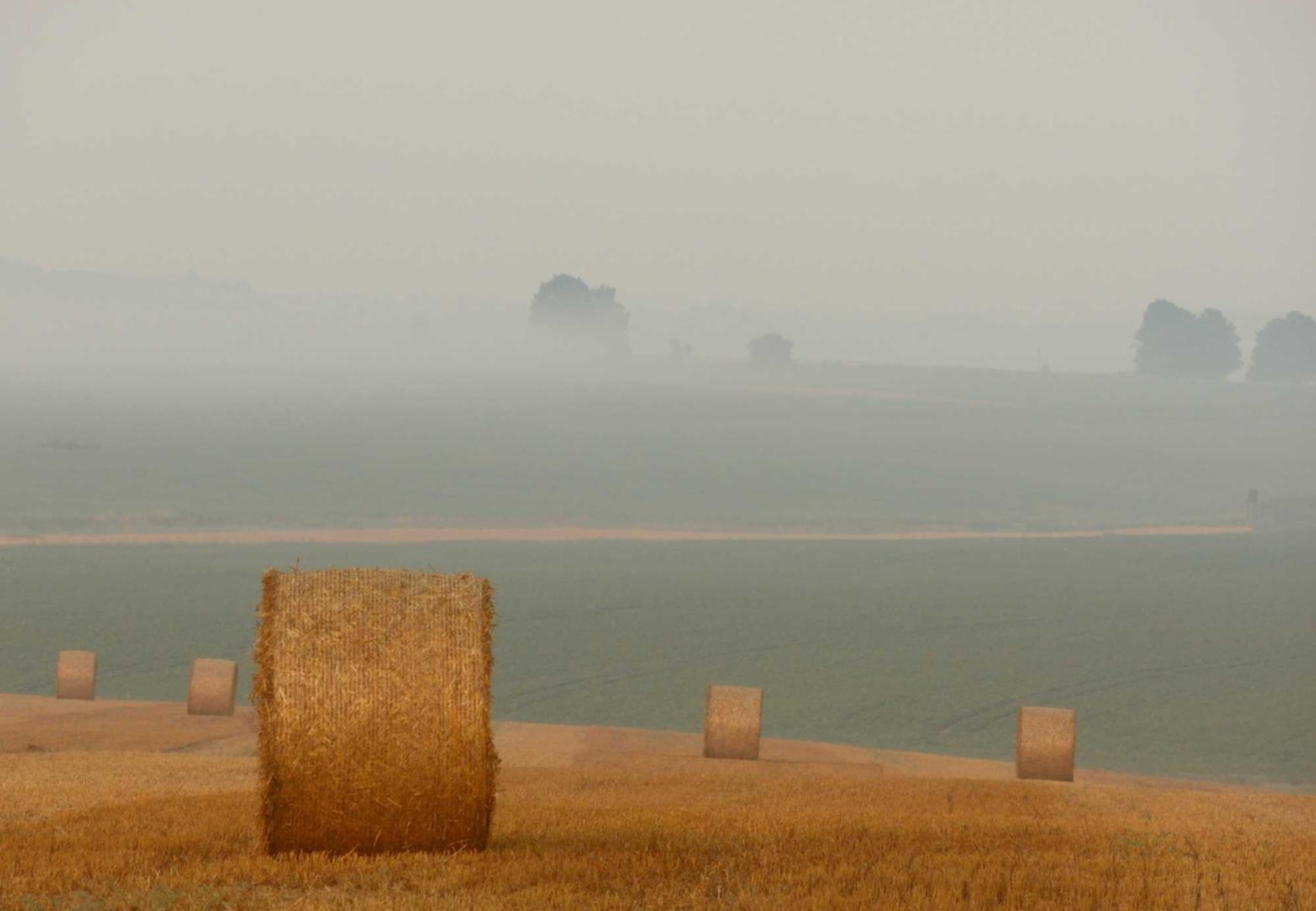 顺达娱乐,注册|松果网app详情下载教程