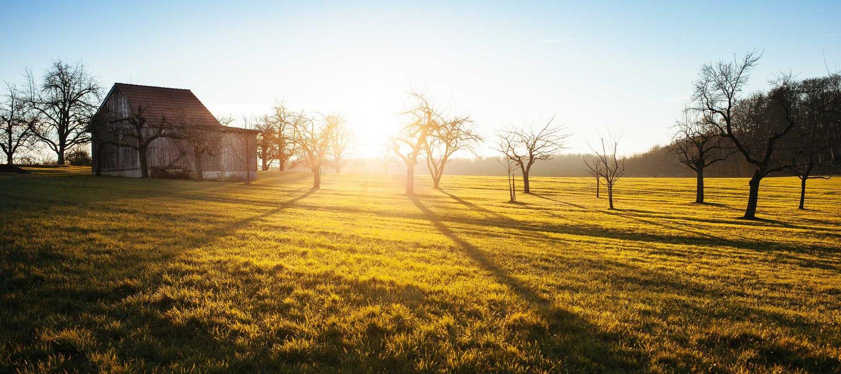 京东云实名账号：5144app详情下载教程