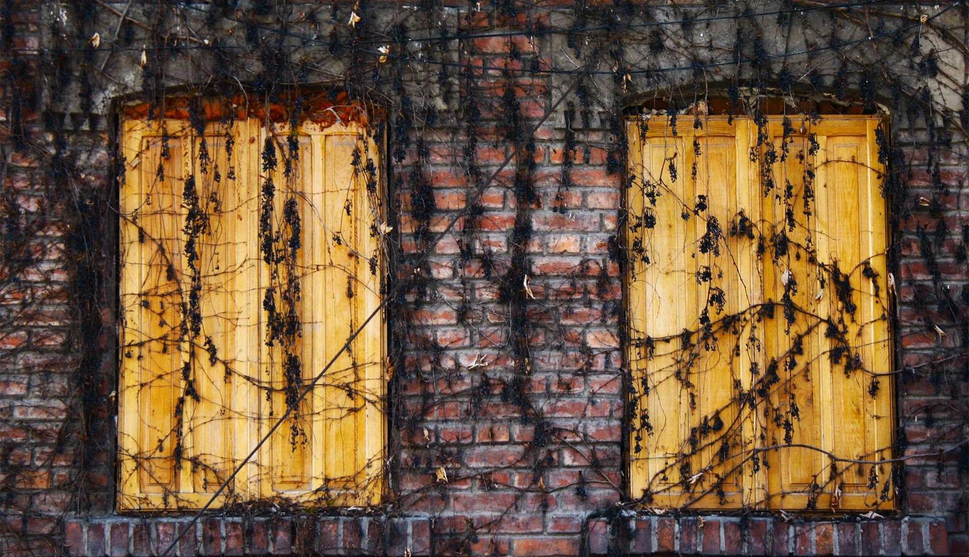 三国杀：外国邮票购买平台