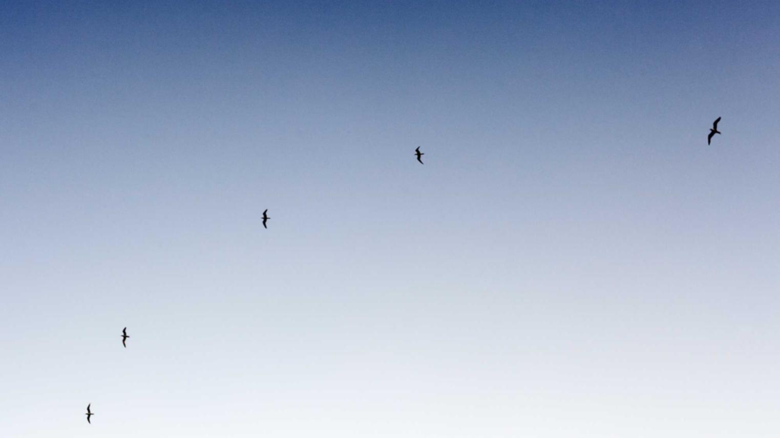 如何在市场上合理定价和销售属性较弱但是高品质的游戏产品,以提高游戏的质量和耐玩性