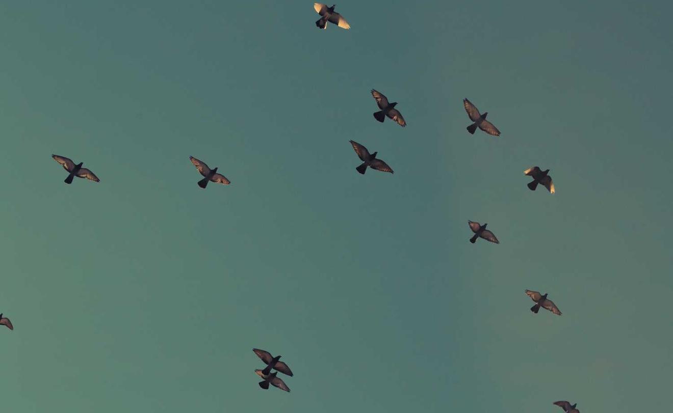 香烟辐射：烦恼、危险还是误传