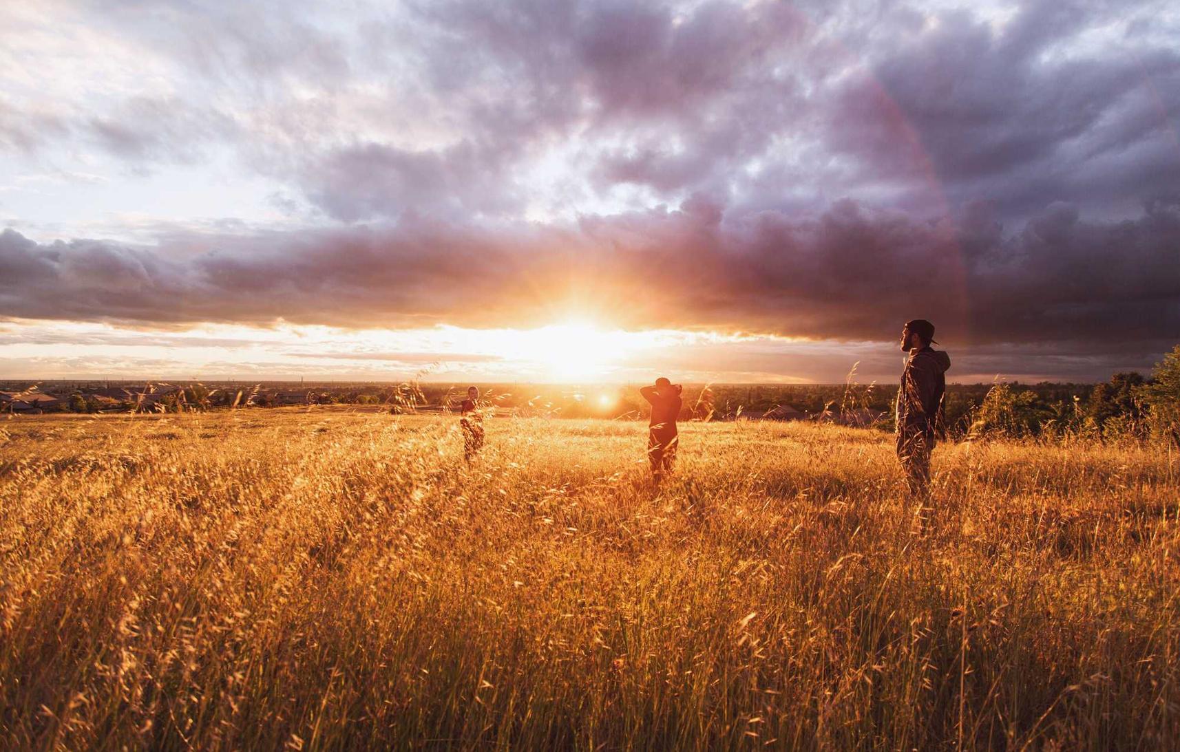 不良人2：律师全权代理哪个平台
