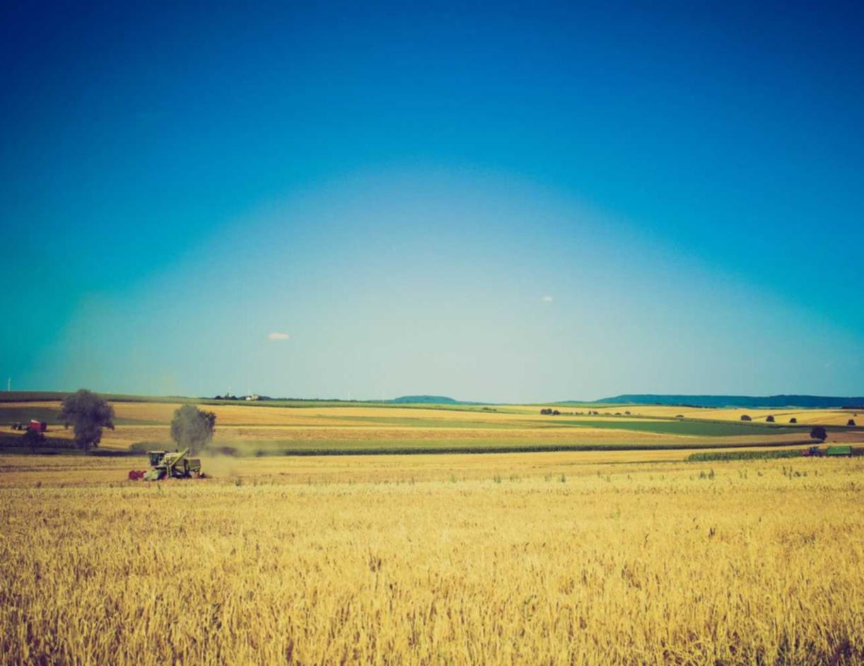 技术支持辅助使用与体现的玩家行为心理