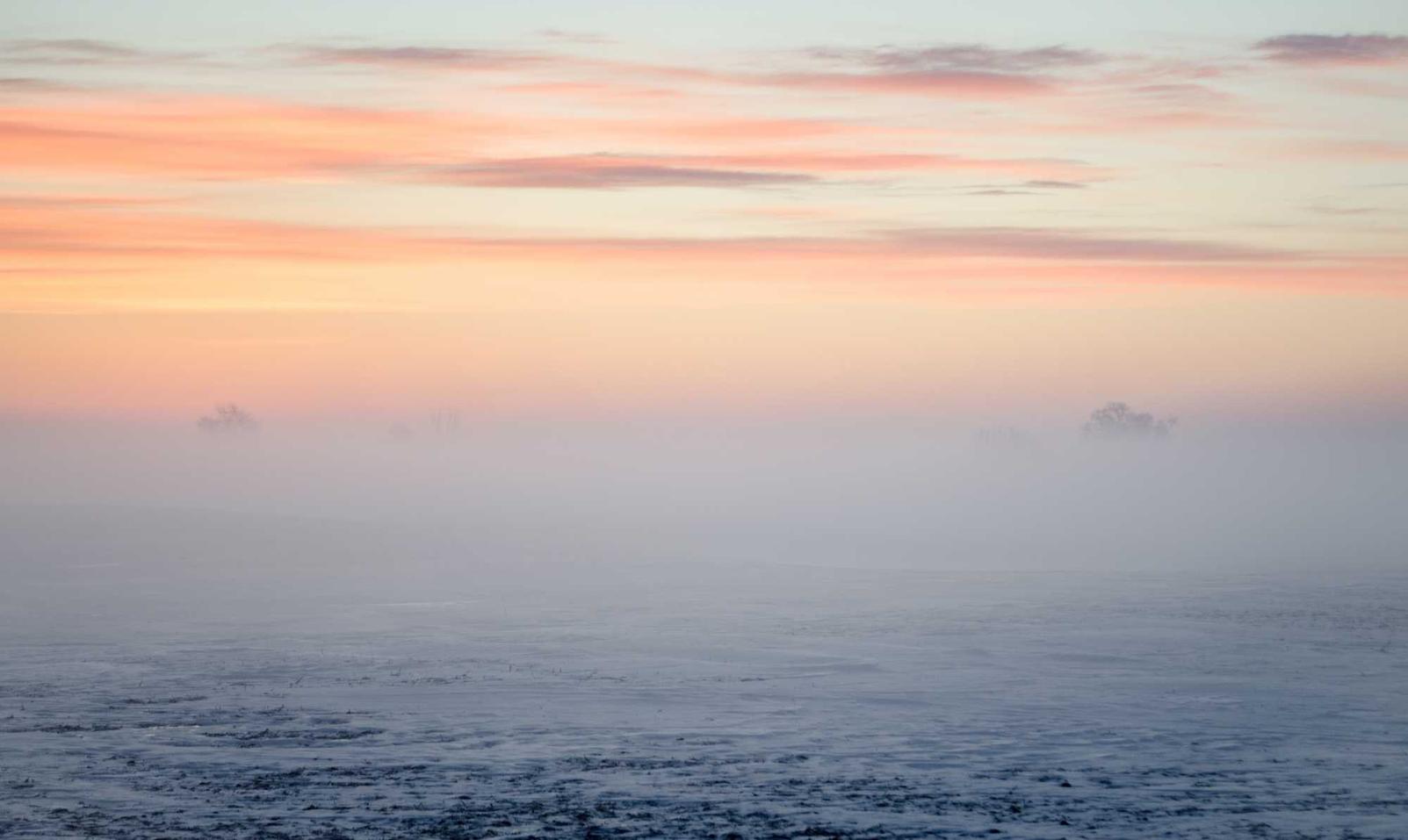 B站手机卡实名账号：羊奶购买平台排名