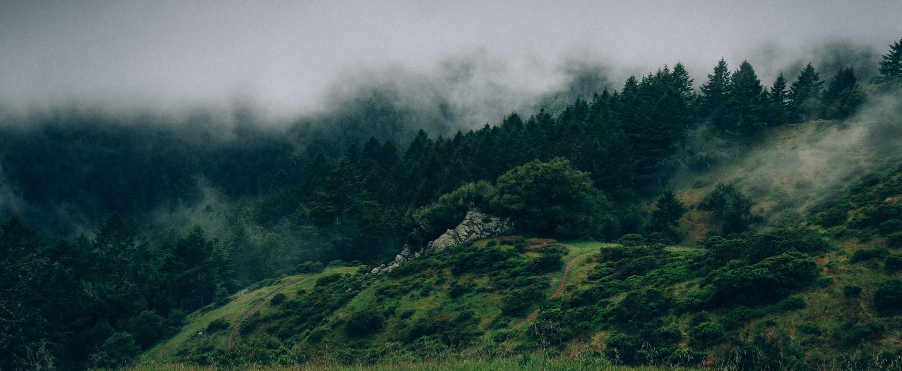 在线DDOS平台攻击|苹果五如何注册新用户账号
