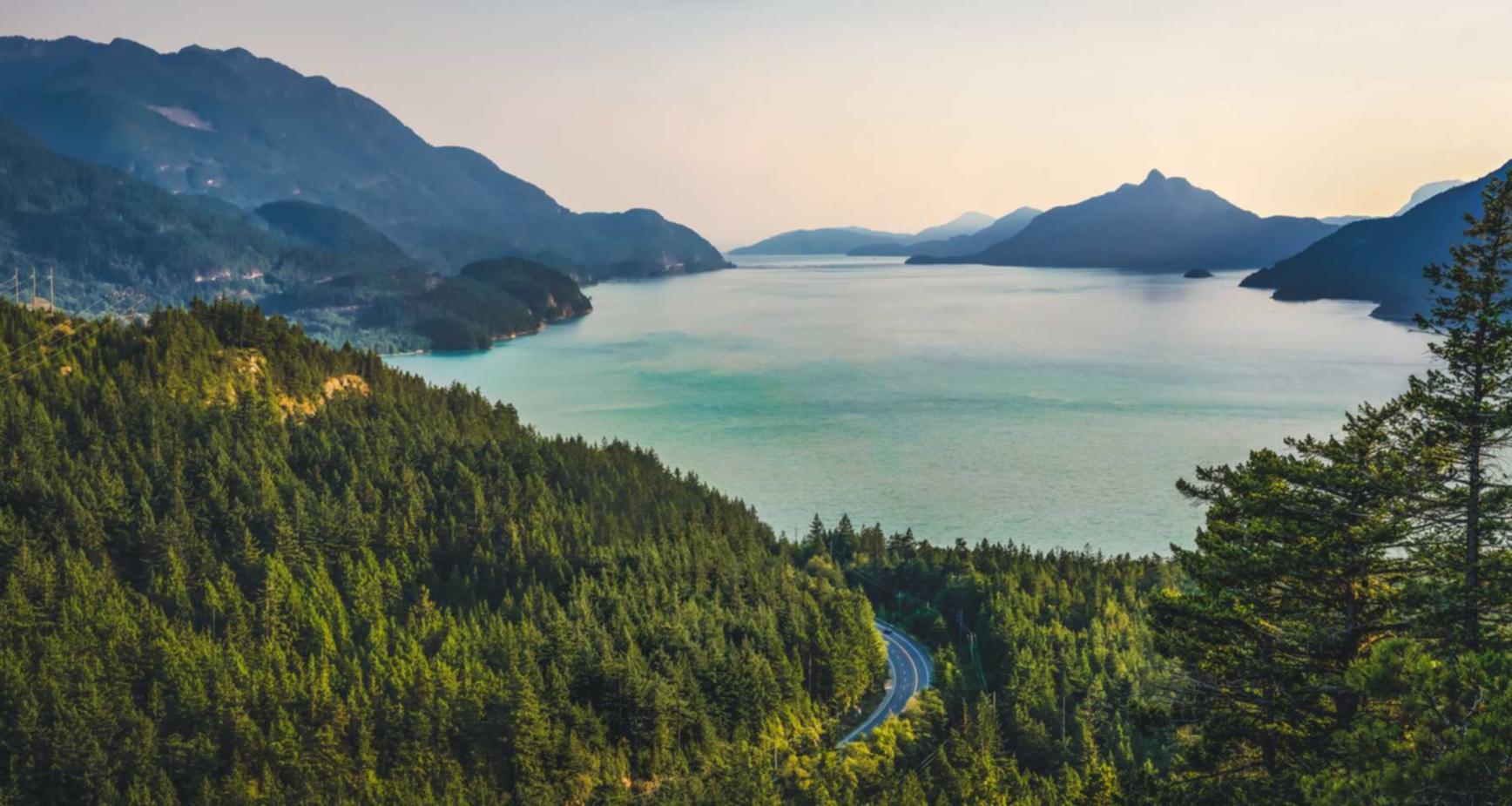 京东代理平台哪个好用