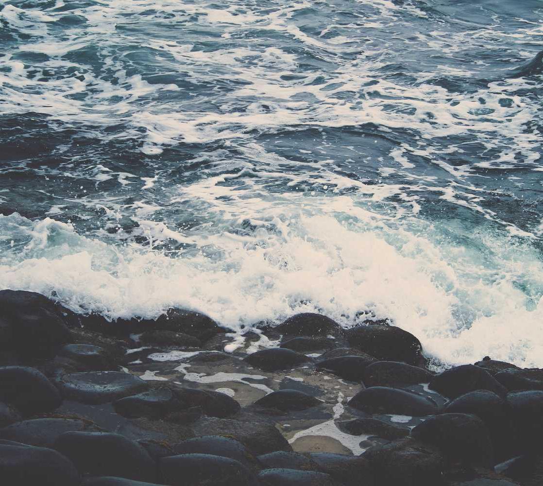 全球住宅ip实名账号:实名制对生态文明的支持作用。