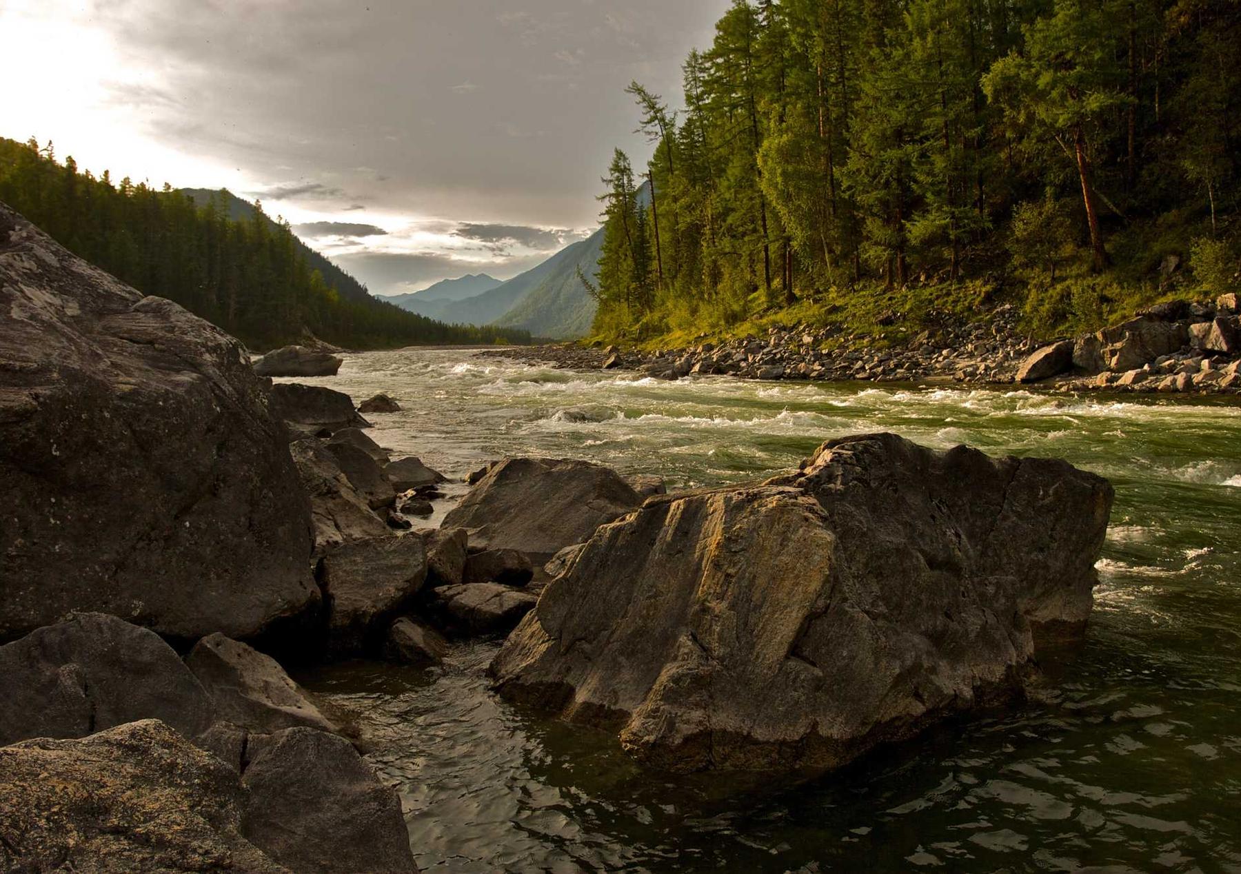 私人vx号买卖:天猫的国际服账号怎么注册