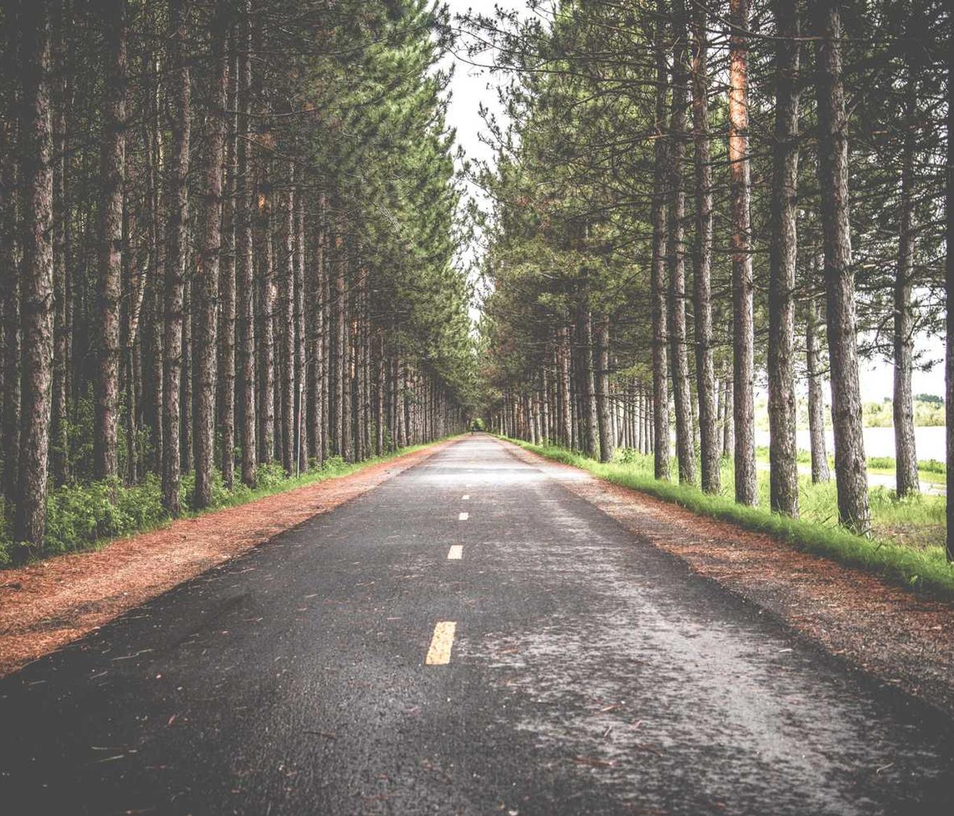 锦江旅行app官方详情下载教程