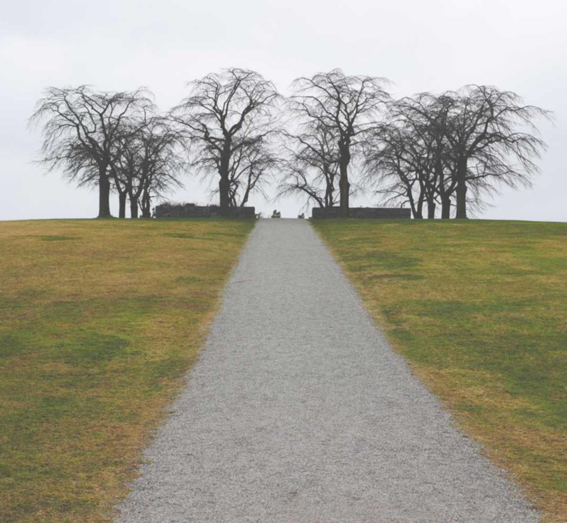 百狐网app详情下载教程