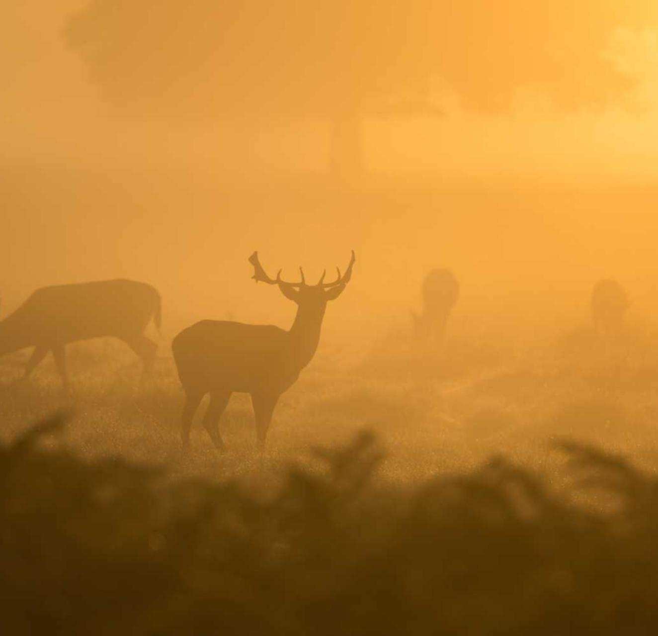 豆瓣实名账号:综合基金购买平台