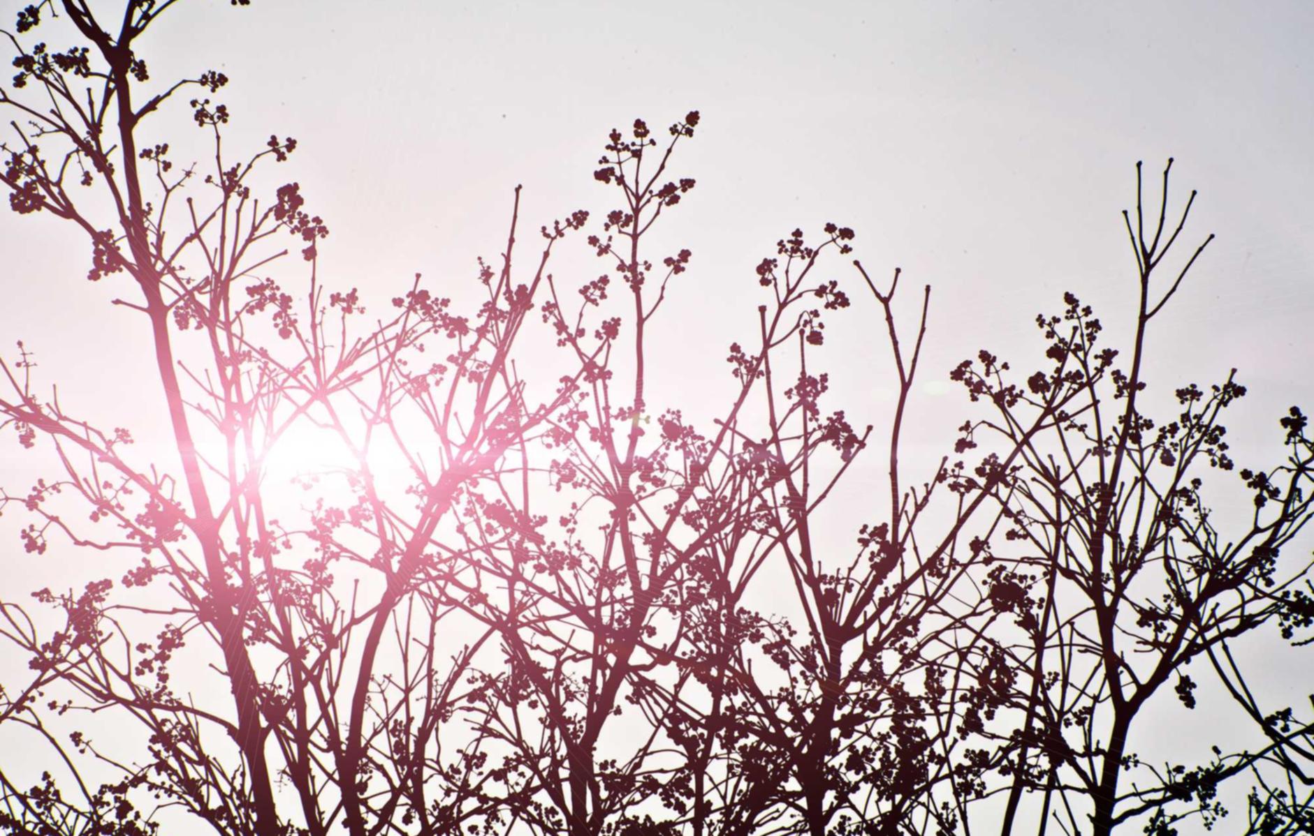 阿里云实名账号：流量卡的创新思维：如何开创新的思路、如何打造独特的创新模式等