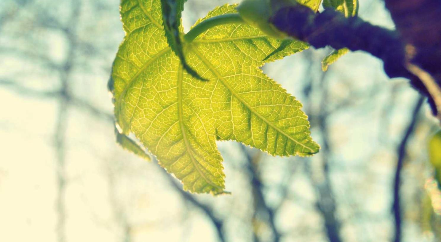 一号站娱乐，注册|德沃app详情下载教程