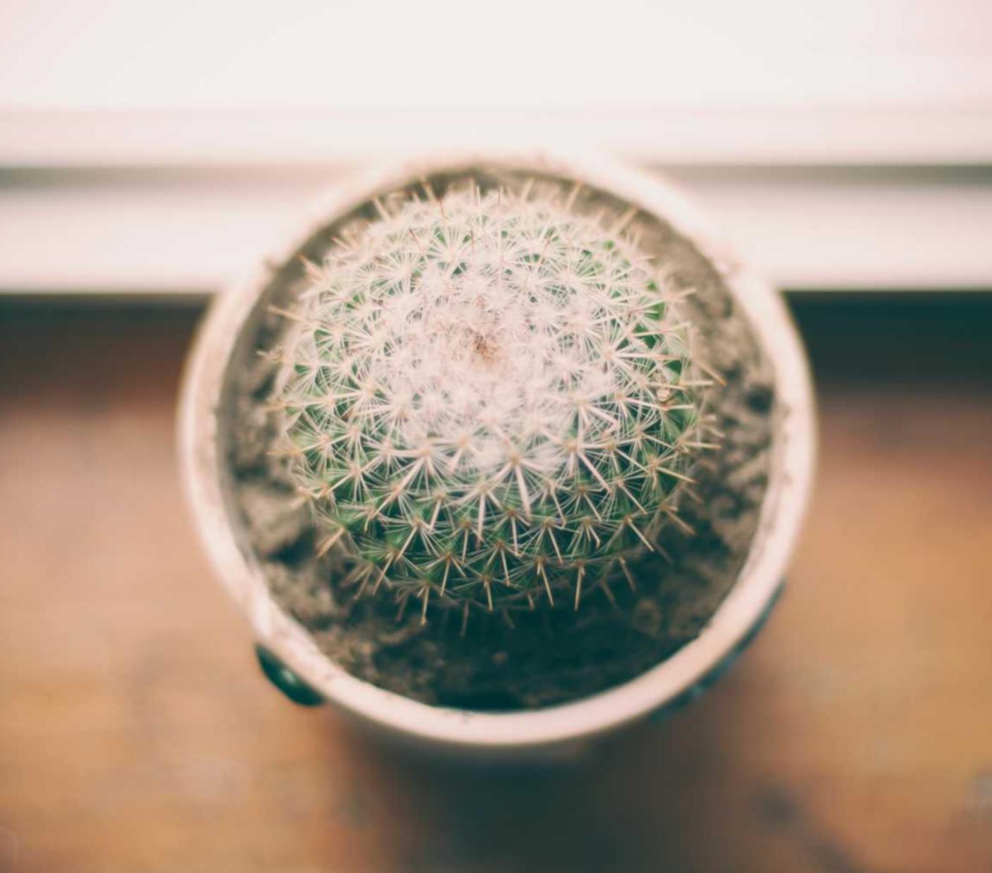 杨浦区品牌公司注册代理商