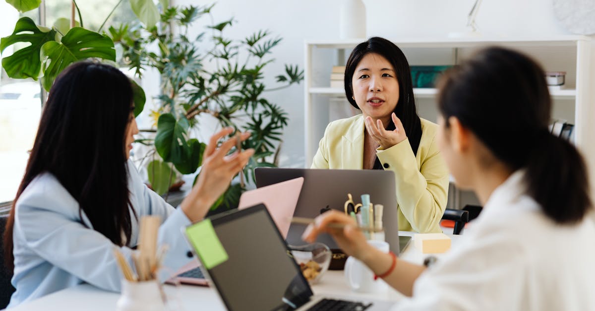 DDOS压力测试网页端|详情下载教程番茄小说app